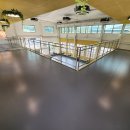 프렌즈 애견 이미지