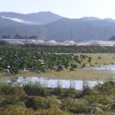 경준농장 이미지