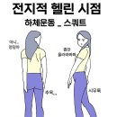 처음 하체운동(스쿼트) 피티 받기 이미지