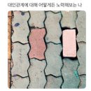 춘마곡점 이미지