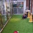 두두펫케어 이미지