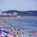보령