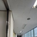 선화골소담가 네이버블로그