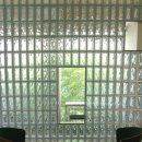 고색애견 이미지