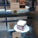 모던모소 이미지