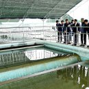 맑은 물, 깨끗한 지구 이미지