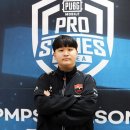윙스 국민일보