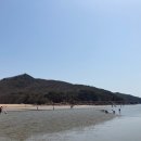 갯벌체험 네이버블로그