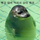 부산진역 이미지