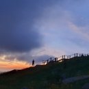 홍도엘도라도 이미지