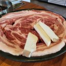 고운동_한마음정육식당 | 세종시 고운동 맛집 추천, ‘한마음정육식당 고운점’ 솔직 후기!