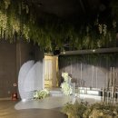 보람 - 부산진구 | 울산 웨딩홀 : 보람컨벤션 홀 투어 상담 후기 및 비교