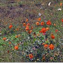 청주 농업 기술센터. 이미지