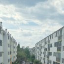 사파동206 이미지