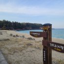 미미카츠 이미지