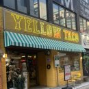 나의라임약국 | 옐로우타코 / 청주 성안길 맛집, 청주 타코 추천 및 후기