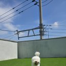 러닝독 스테이 이미지