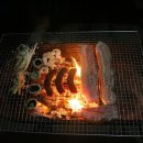 베스트캠핑장 이미지