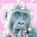 킁카킁카 이미지