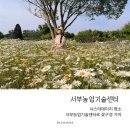 전기차충전소_서부농업기술센터 | 제주 5월 꽃구경 샤스타데이지 명소 서부농업기술센터