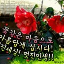 설악칡냉면 이미지