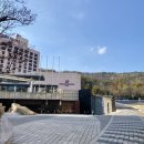 (주)세이프티메디칼 | 🛫케세이퍼시픽 파이널 면접 합격 후기 (2023.11)