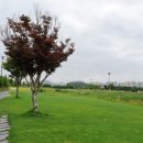 솔트베이(Salt Bay) 골프클럽 이미지