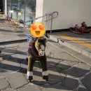 카페인포니