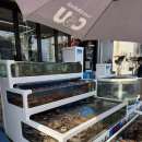 서울회센타 | 대포항횟집 속초가족여행맛집 대포어촌회센타 모듬회 후기