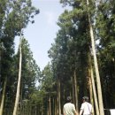 김인수농장 이미지