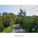 우인호 농장 이미지