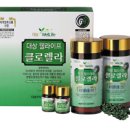 엽록소㈜ 이미지