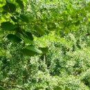 나래영재어린이집 이미지