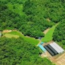 연당조전로 이미지