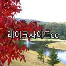 레이크사이드 회원권 그늘집 명문 삼성 용인 골프장