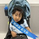 대통령어린이집 | 시하네 얼집 대통령 선거 후기