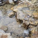 포천글램핑앤카라반 이미지