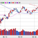 [특징종목 / 미원상사, 텔레칩스, 한국기술산업, 케이알, 노루페인트,바이로메드, 대우부품] 이미지