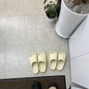 안스에스테틱
