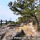 삼호고등학교 진입로 이미지