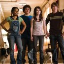 강아지 호텔 이미지