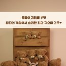 데일리수 | 청라 데일리수 50일 촬영후기