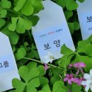 헬스라이프 팜