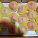 반디농원 이미지