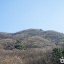 자연의 품