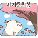 법화선원