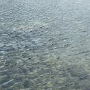 석양목장 이미지