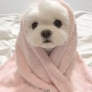 엄마특징 2 이미지