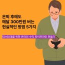 은퇴 후에도 매달 300만원 버는 현실적인 방법 5가지, 50·60대를 위한 온라인 수익 파이프라인 만들기