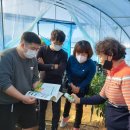 어은농장 이미지